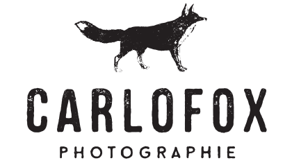 carlofox photographie